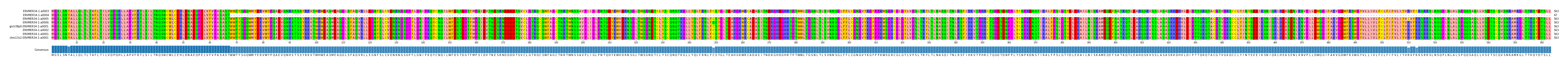 Multiple Alignments (by translate haplotype similarity)