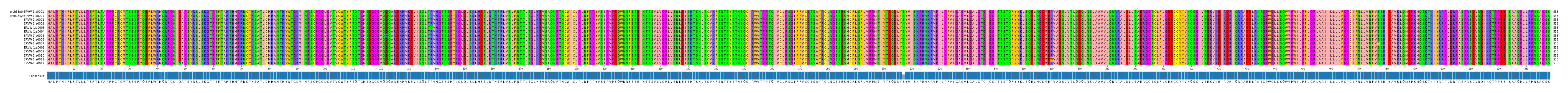 Multiple Alignments (by translate haplotype frequency)