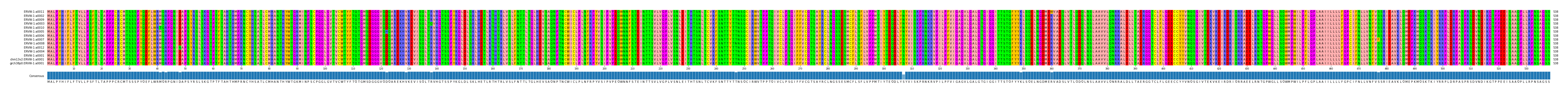 Multiple Alignments (by translate haplotype similarity)