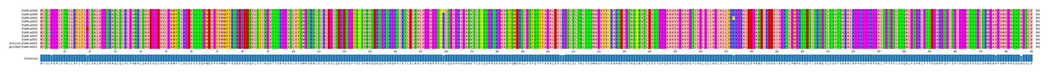 Multiple Alignments (by translate haplotype similarity)