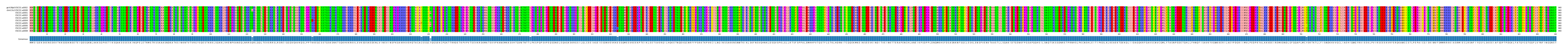 Multiple Alignments (by translate haplotype frequency)