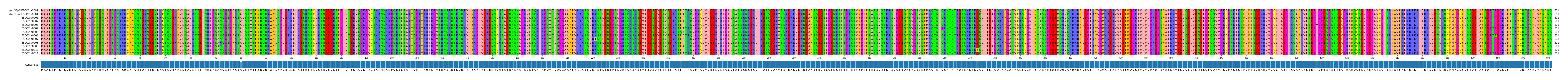 Multiple Alignments (by translate haplotype frequency)