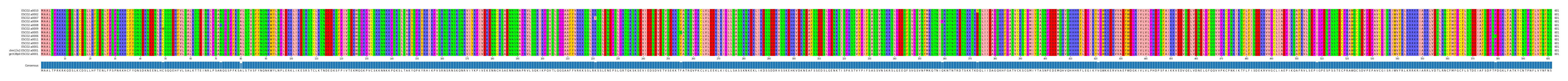 Multiple Alignments (by translate haplotype similarity)