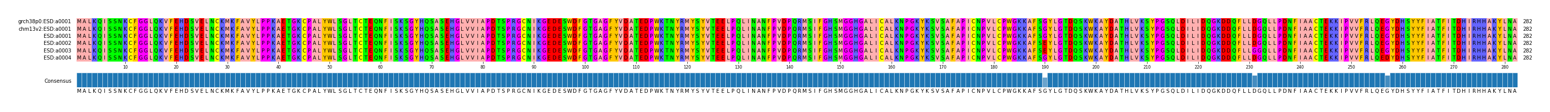 Multiple Alignments (by translate haplotype frequency)