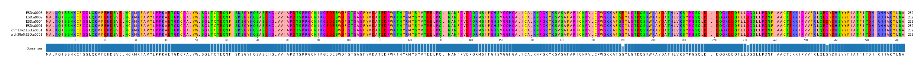 Multiple Alignments (by translate haplotype similarity)
