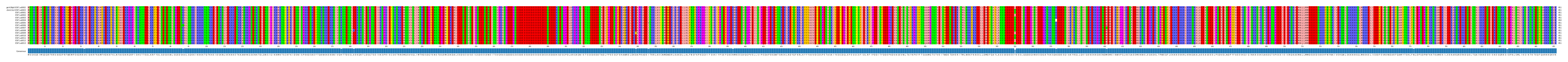 Multiple Alignments (by translate haplotype frequency)