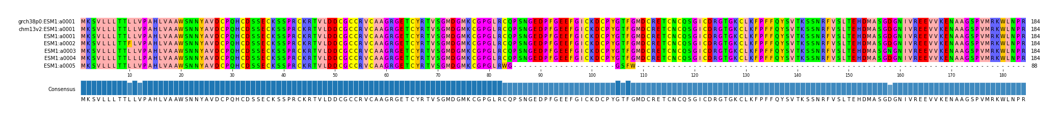 Multiple Alignments (by translate haplotype frequency)