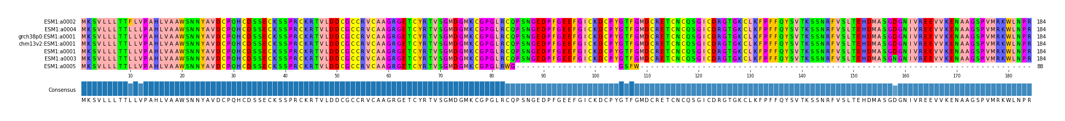 Multiple Alignments (by translate haplotype similarity)