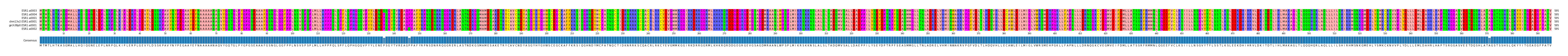 Multiple Alignments (by translate haplotype similarity)