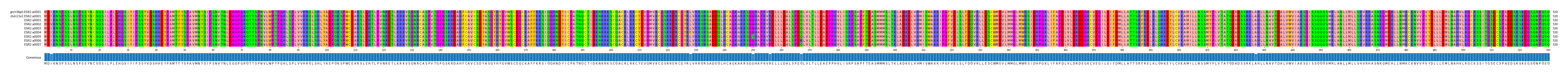 Multiple Alignments (by translate haplotype frequency)
