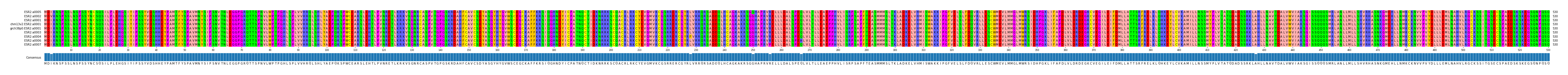 Multiple Alignments (by translate haplotype similarity)
