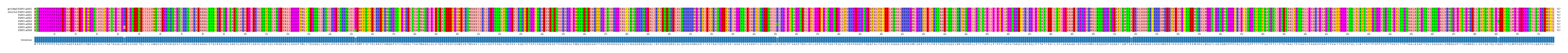Multiple Alignments (by translate haplotype frequency)