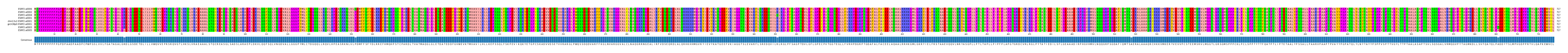 Multiple Alignments (by translate haplotype similarity)