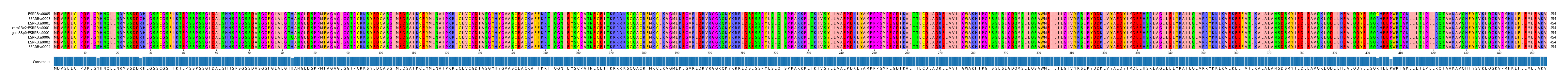 Multiple Alignments (by translate haplotype similarity)