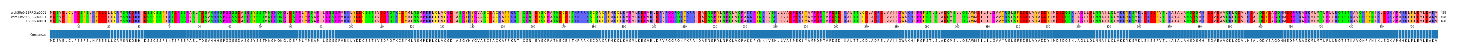 Multiple Alignments (by translate haplotype similarity)