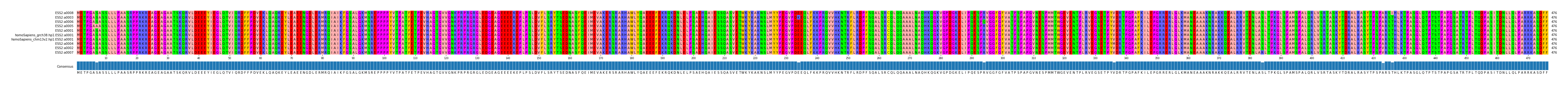 Multiple Alignments (by translate haplotype similarity)