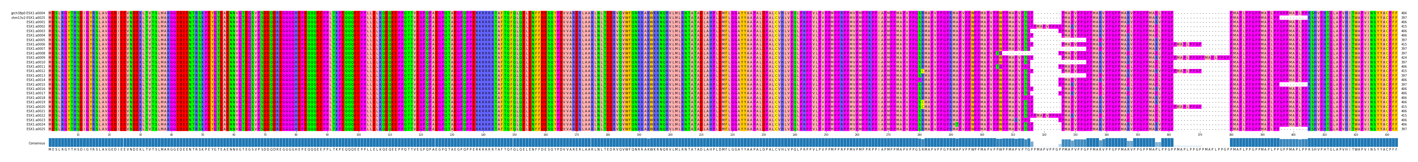 Multiple Alignments (by translate haplotype frequency)