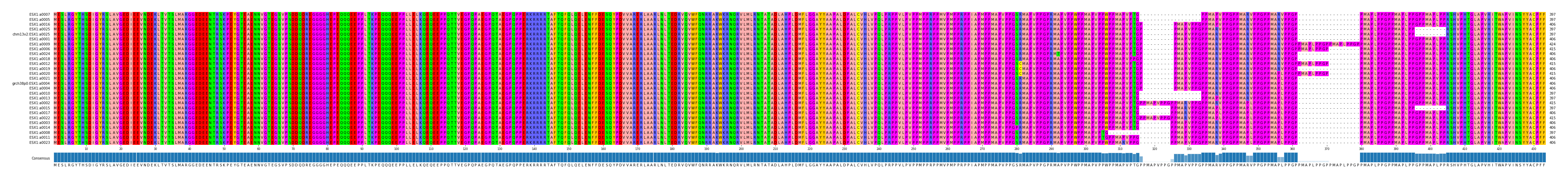 Multiple Alignments (by translate haplotype similarity)