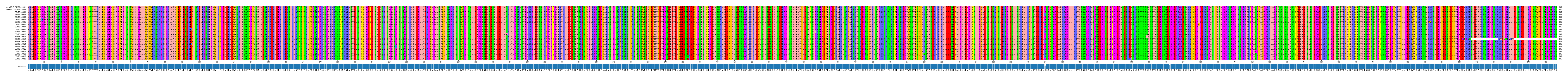 Multiple Alignments (by translate haplotype frequency)