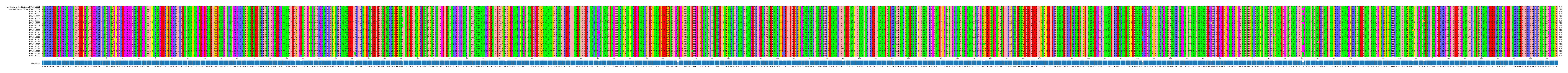 Multiple Alignments (by translate haplotype frequency)