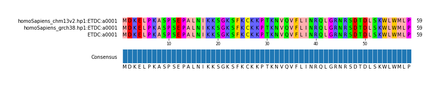 Multiple Alignments (by translate haplotype frequency)