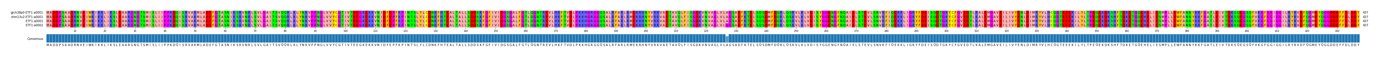 Multiple Alignments (by translate haplotype similarity)