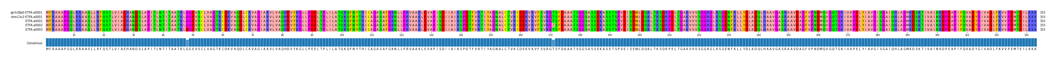 Multiple Alignments (by translate haplotype frequency)