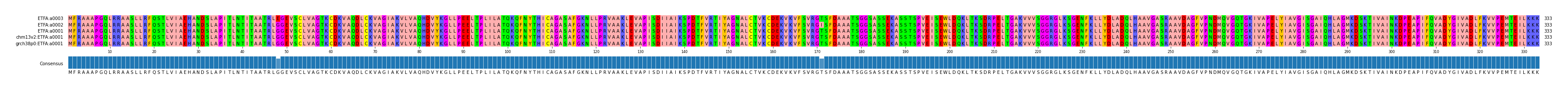Multiple Alignments (by translate haplotype similarity)