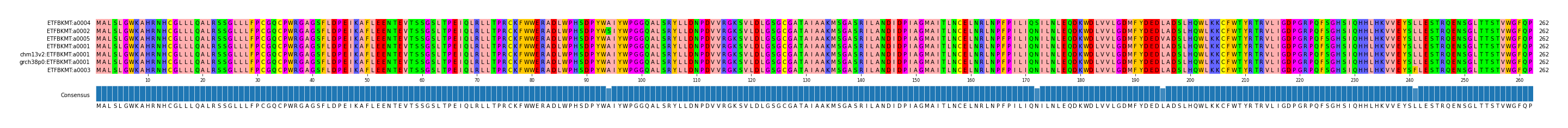 Multiple Alignments (by translate haplotype similarity)