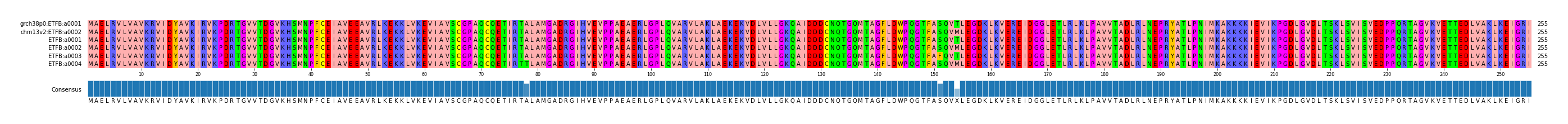 Multiple Alignments (by translate haplotype frequency)