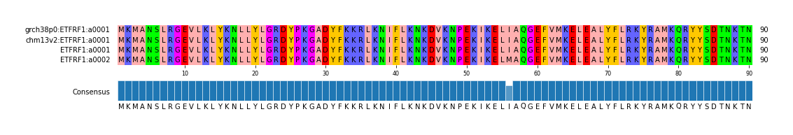 Multiple Alignments (by translate haplotype similarity)