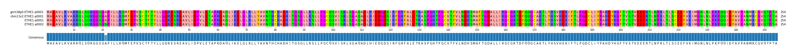 Multiple Alignments (by translate haplotype similarity)