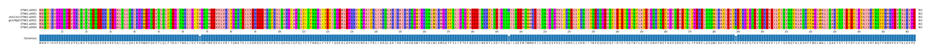 Multiple Alignments (by translate haplotype similarity)