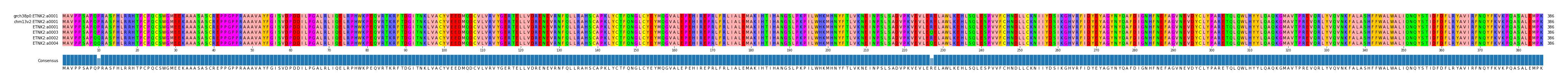 Multiple Alignments (by translate haplotype similarity)