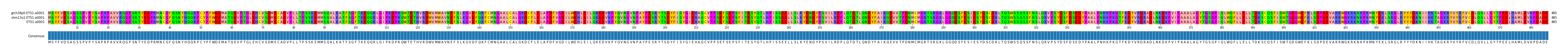 Multiple Alignments (by translate haplotype similarity)