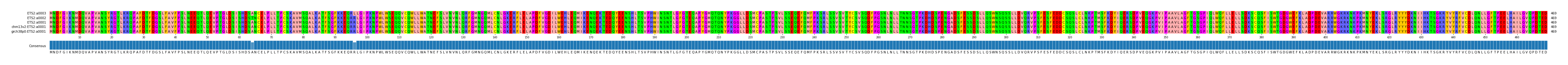 Multiple Alignments (by translate haplotype similarity)
