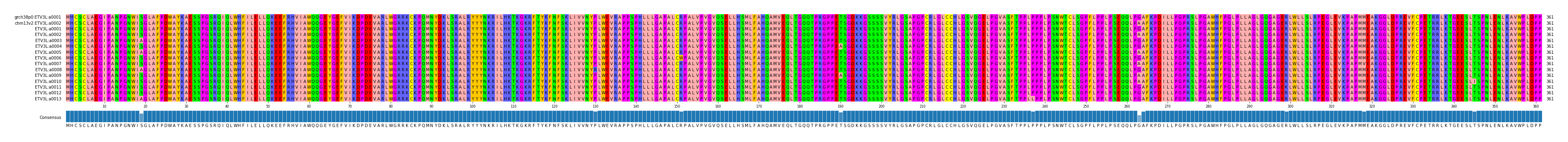 Multiple Alignments (by translate haplotype frequency)