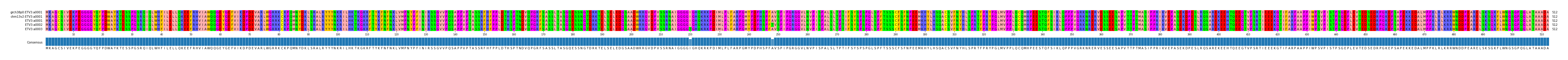 Multiple Alignments (by translate haplotype frequency)