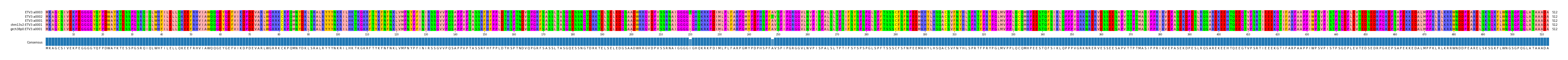 Multiple Alignments (by translate haplotype similarity)