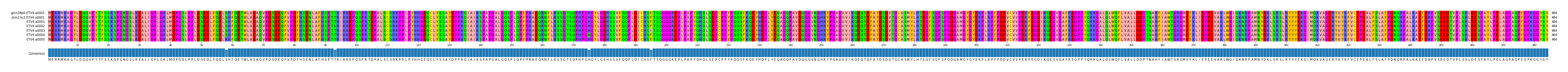 Multiple Alignments (by translate haplotype frequency)