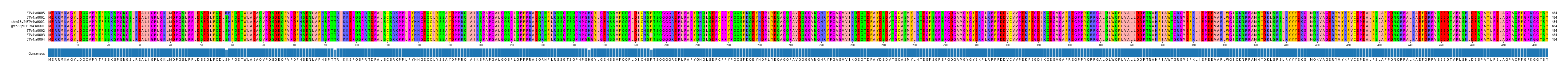 Multiple Alignments (by translate haplotype similarity)