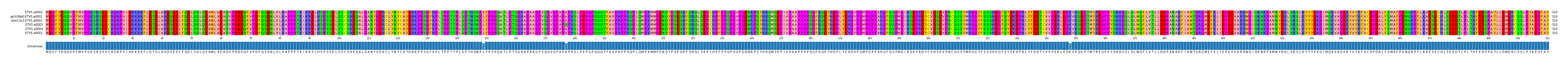 Multiple Alignments (by translate haplotype similarity)