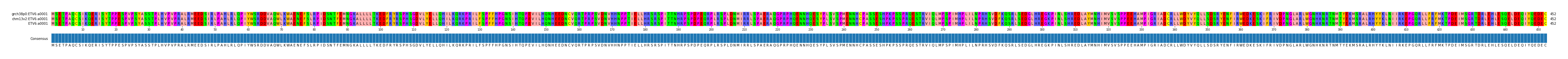 Multiple Alignments (by translate haplotype frequency)