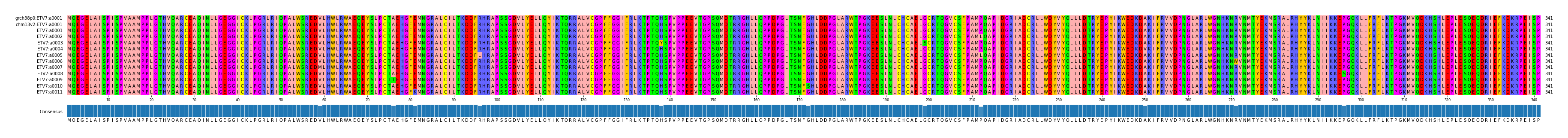 Multiple Alignments (by translate haplotype frequency)