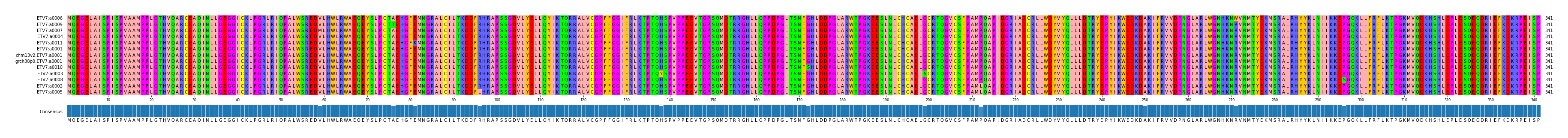 Multiple Alignments (by translate haplotype similarity)
