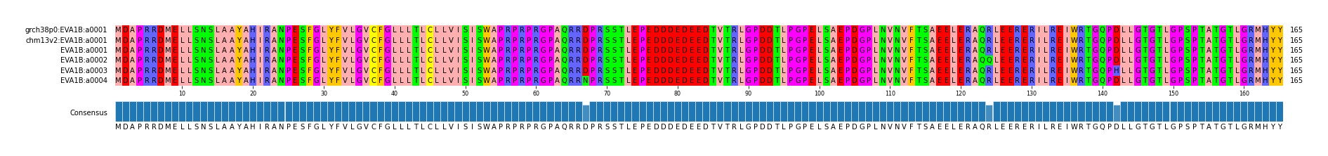 Multiple Alignments (by translate haplotype frequency)