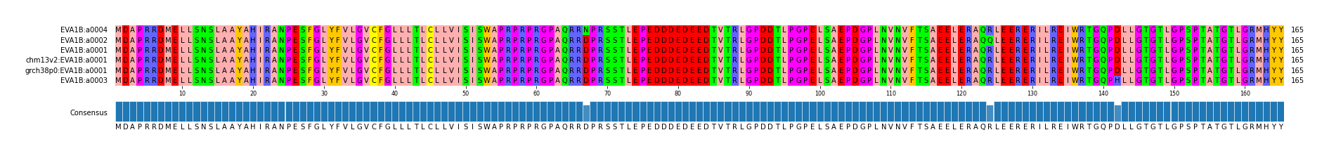 Multiple Alignments (by translate haplotype similarity)