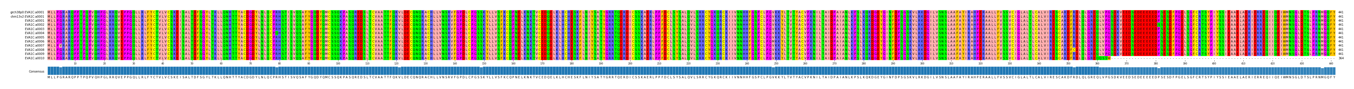 Multiple Alignments (by translate haplotype frequency)