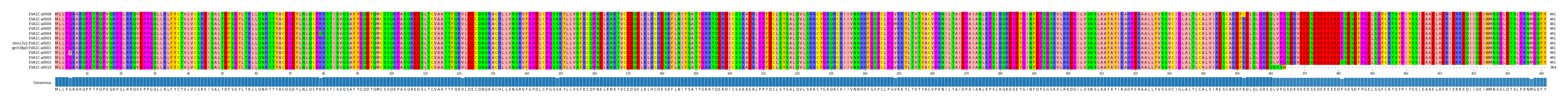 Multiple Alignments (by translate haplotype similarity)