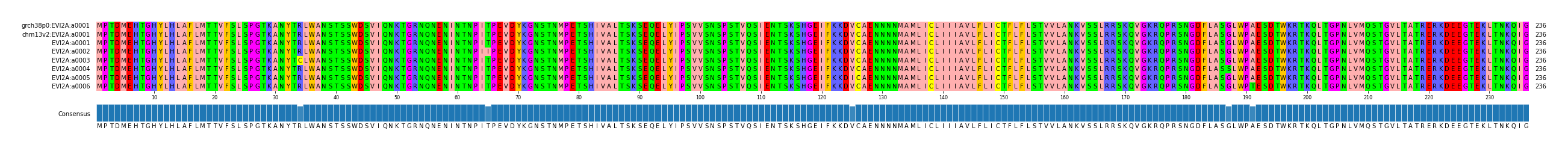 Multiple Alignments (by translate haplotype frequency)